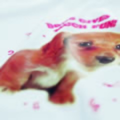 KANE100 | ORIGINAL ORDER MADE T-Shirt